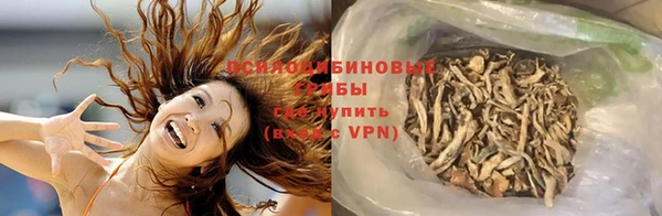 твердый Алзамай