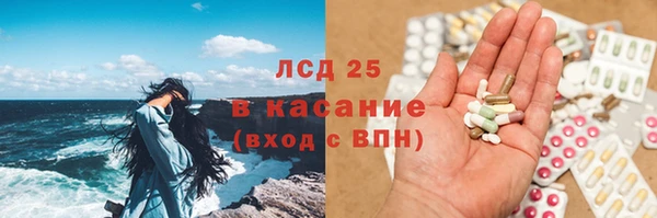 крисы Алексин