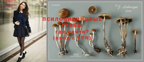ешки Абдулино