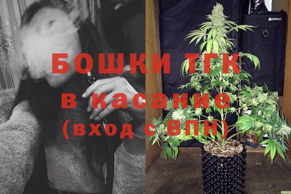 крисы Алексин