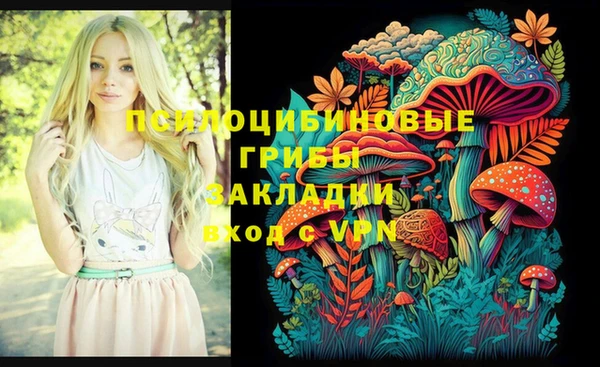 круглые Абаза