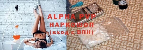 прущие грибы Абинск