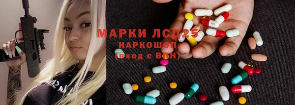 прущие грибы Абинск