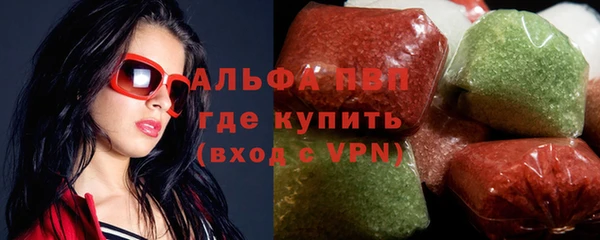 прущие грибы Абинск