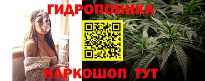 не бодяженный Камышлов
