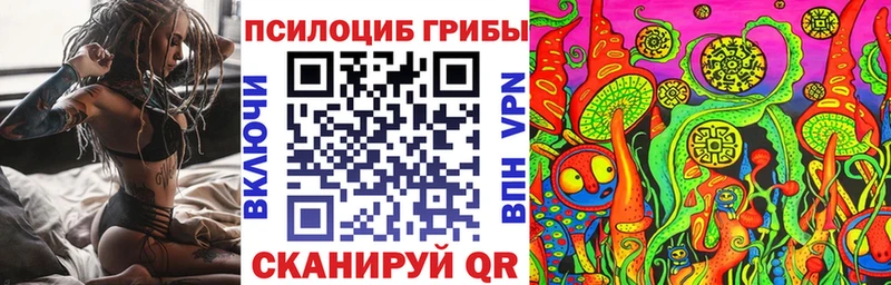 продажа наркотиков Новочеркасск Псилоцибиновые грибы Magic Shrooms