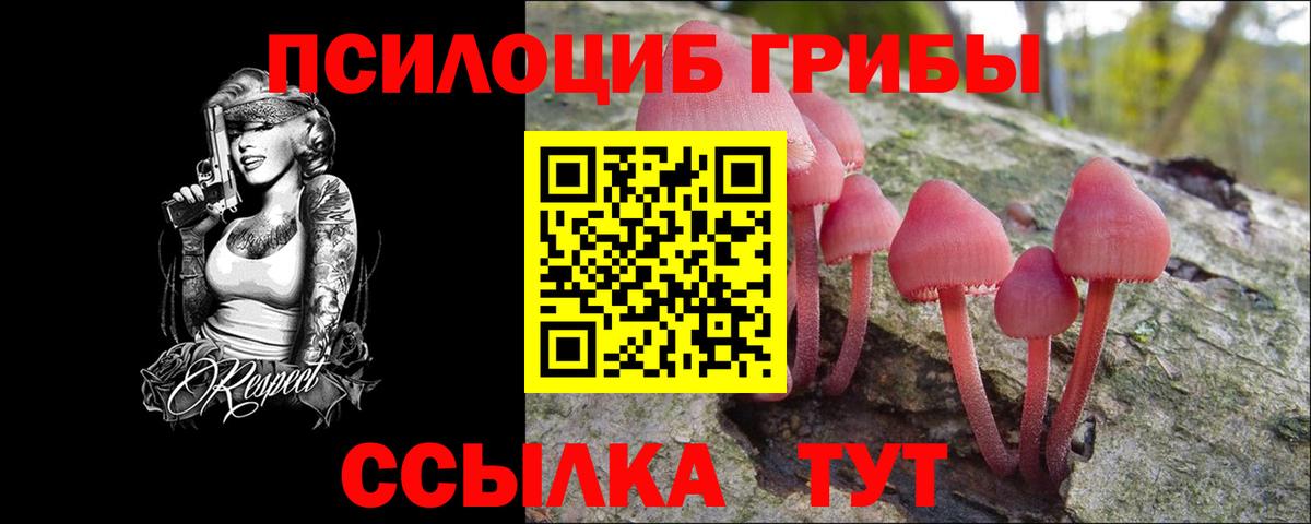 Псилоцибиновые грибы прущие грибы  Псилоцибиновые грибы мицелий  Новочеркасск  Вход с VPN 