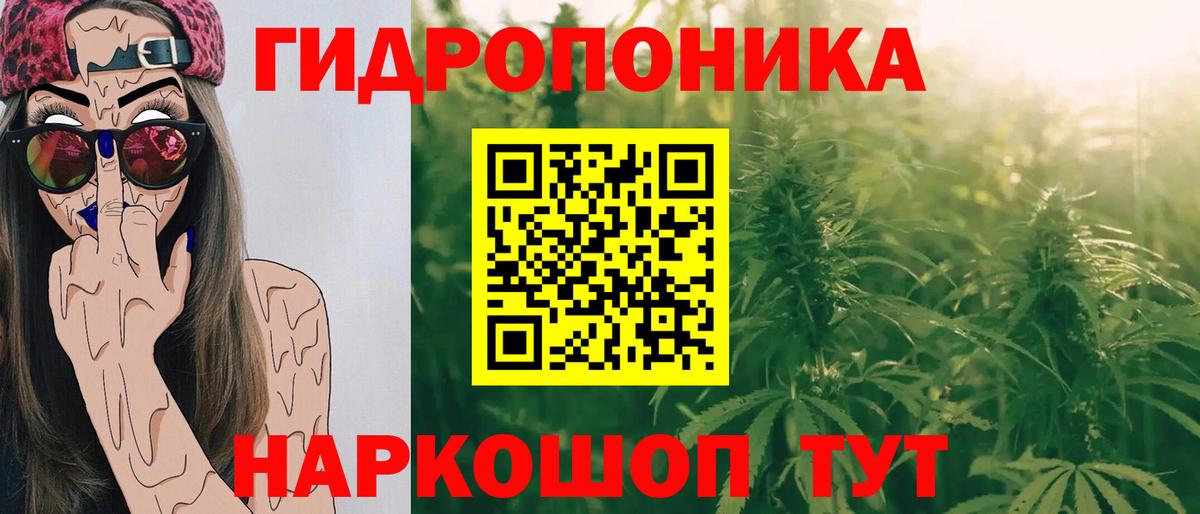 Марихуана план Новочеркасск